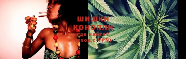 a pvp Пересвет