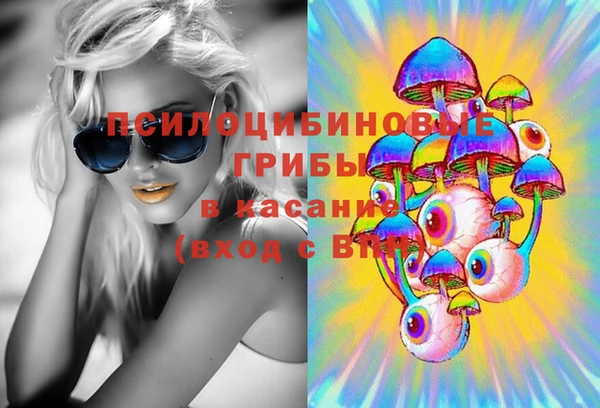 герыч Елабуга