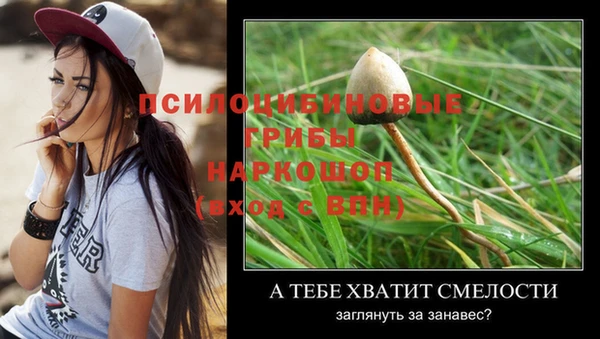 не бодяженный Дмитров